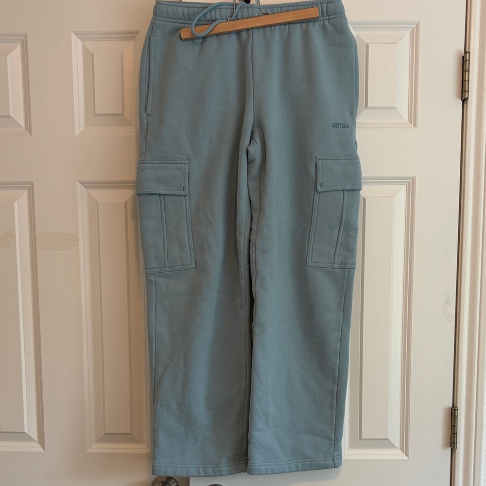 Aritzia Mega Fit Sweat Fleece Cargo Pants